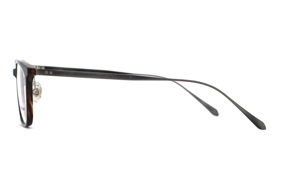 Whiskey Tortoise with Brushed Ink