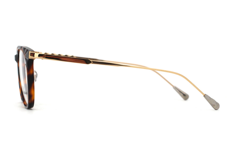 Whiskey Tortoise with Polished Gold