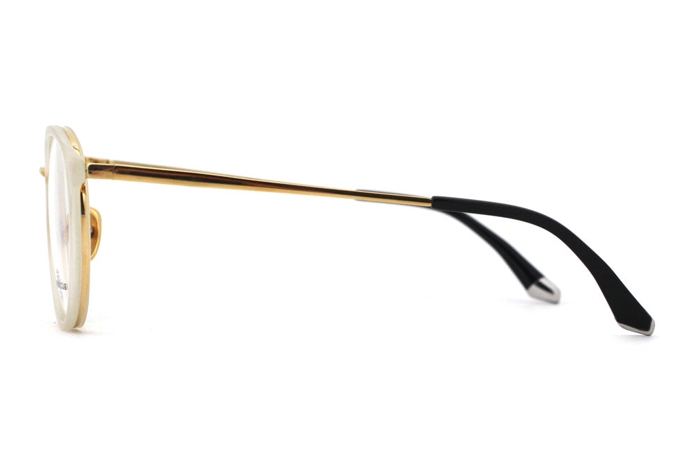 Cactus with Polished Gold