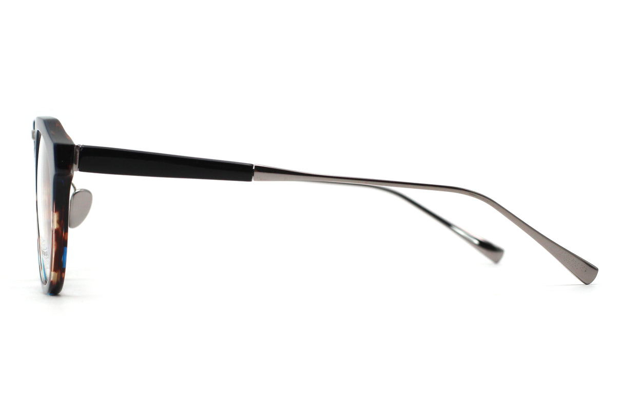 Tide Pool Tortoise with Polished SIlver