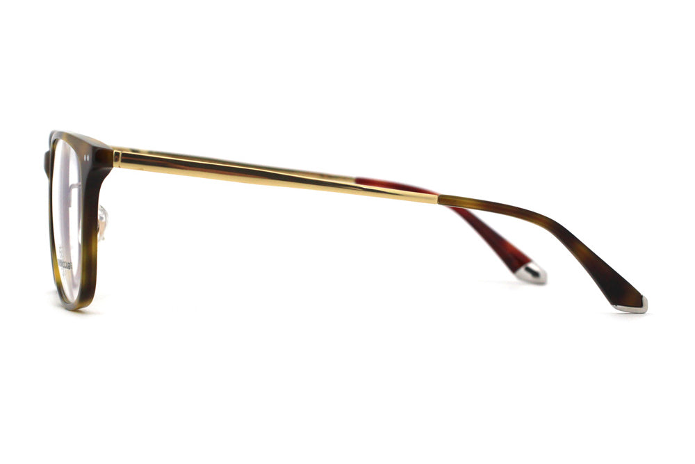 Woodgrain Tortoise with Polished Gold